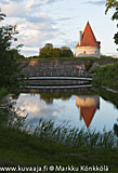 	20100605_428	