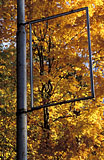 Ruskaa mainoksessa - Framed Leaves