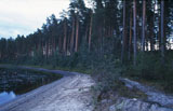 Rasuanniemi