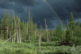 Sateenkaari - Rainbow